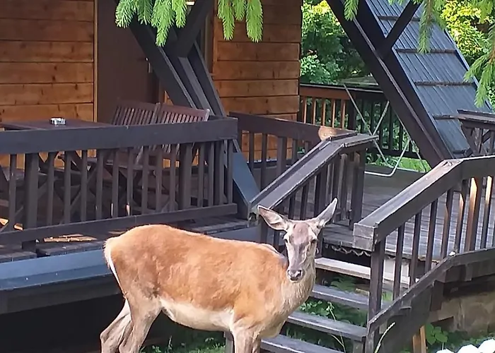Klimatyczna U Podnoza Gory * Porąbka
